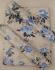 BEDSHEET ERODE AHEMADHABAD PRINT 90 X108 2 PILLOW COVER